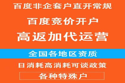 成功SEM推广代运营案例分享